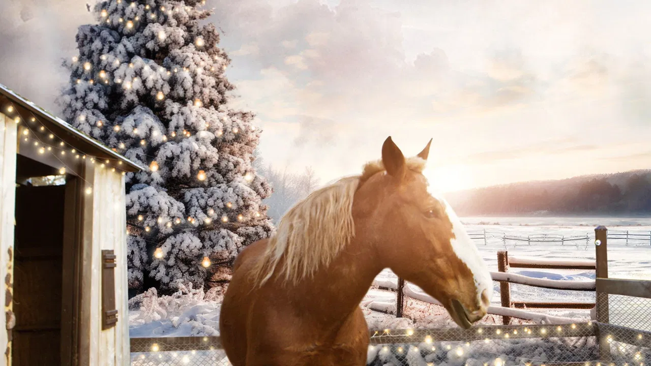December Horses backdrop
