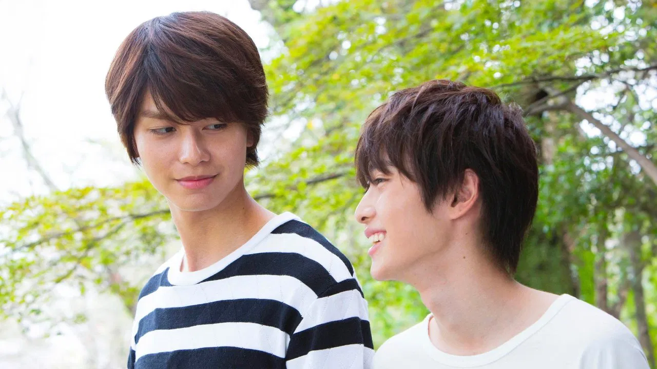 Silhouette of Your Voice backdrop