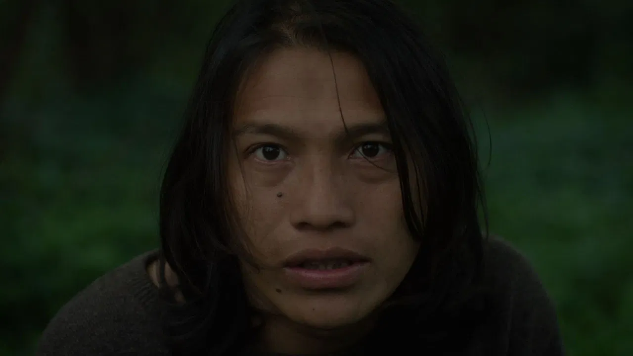 Canuto's Transformation backdrop