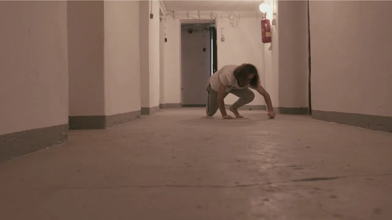 Canistherapy backdrop