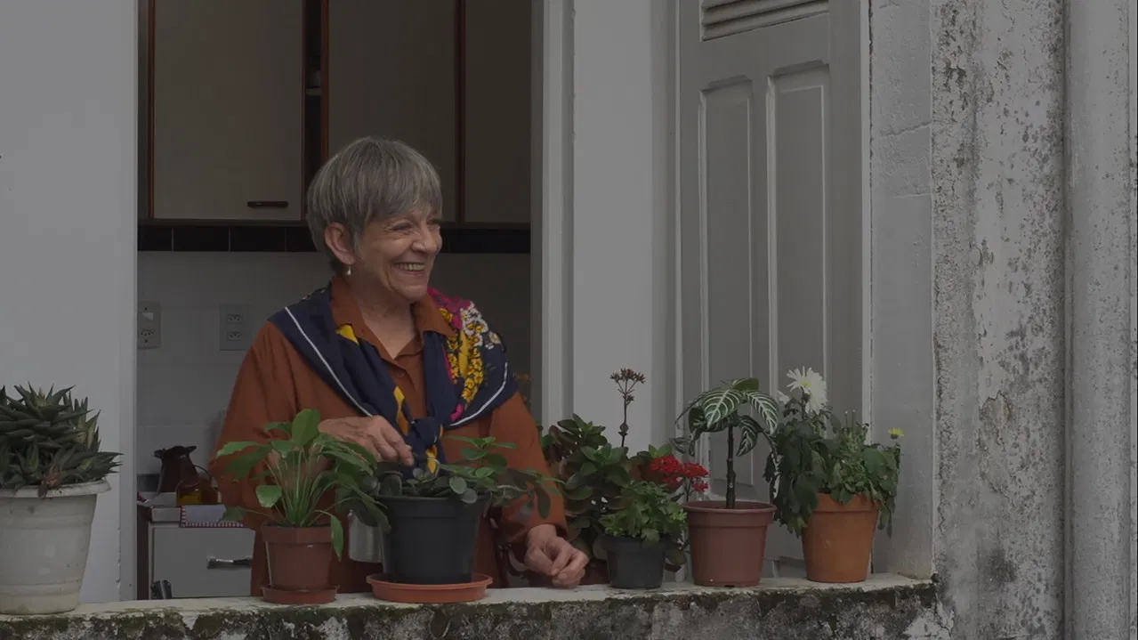 Vista para dias nublados backdrop