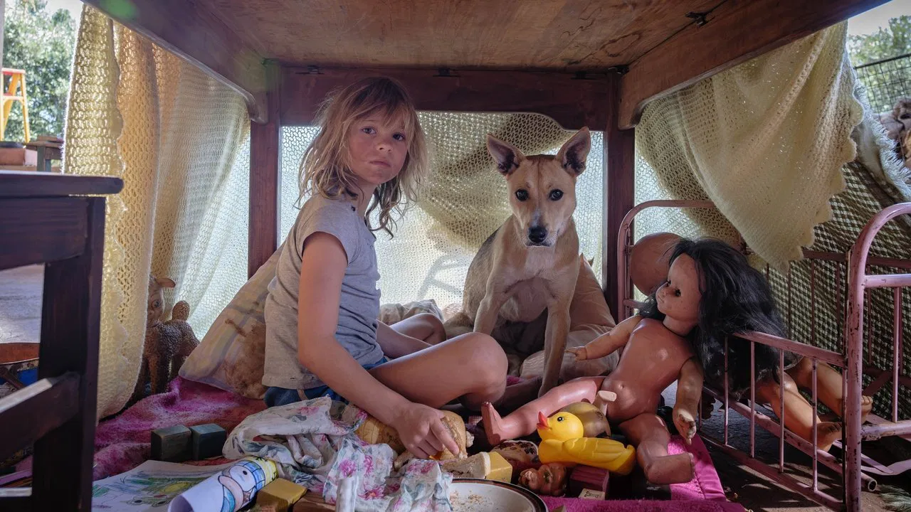 Don't Let's Go to the Dogs Tonight backdrop