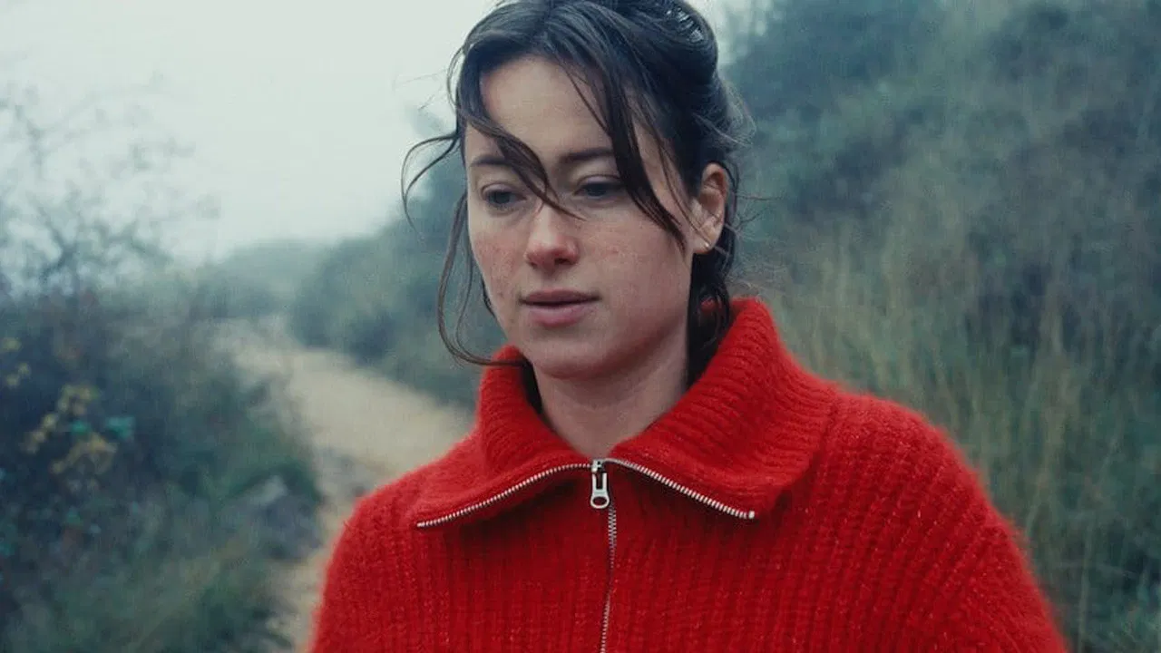 All Backwards backdrop