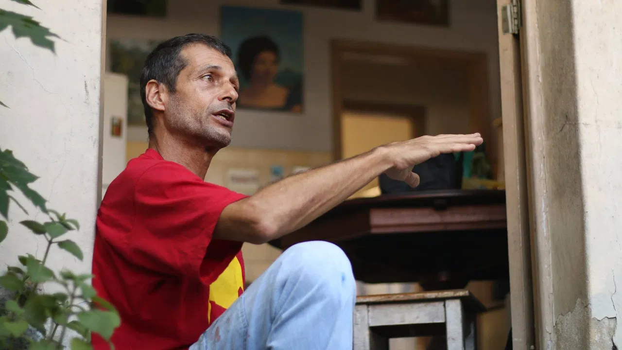 Observar e Absorver backdrop