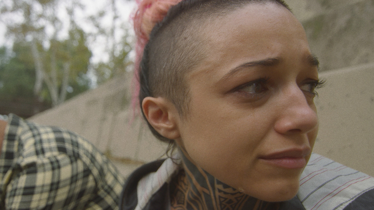 Return to Me backdrop