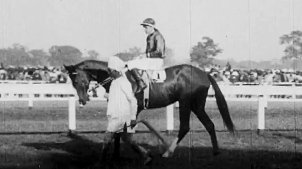 Calcutta Topical No. 1 backdrop