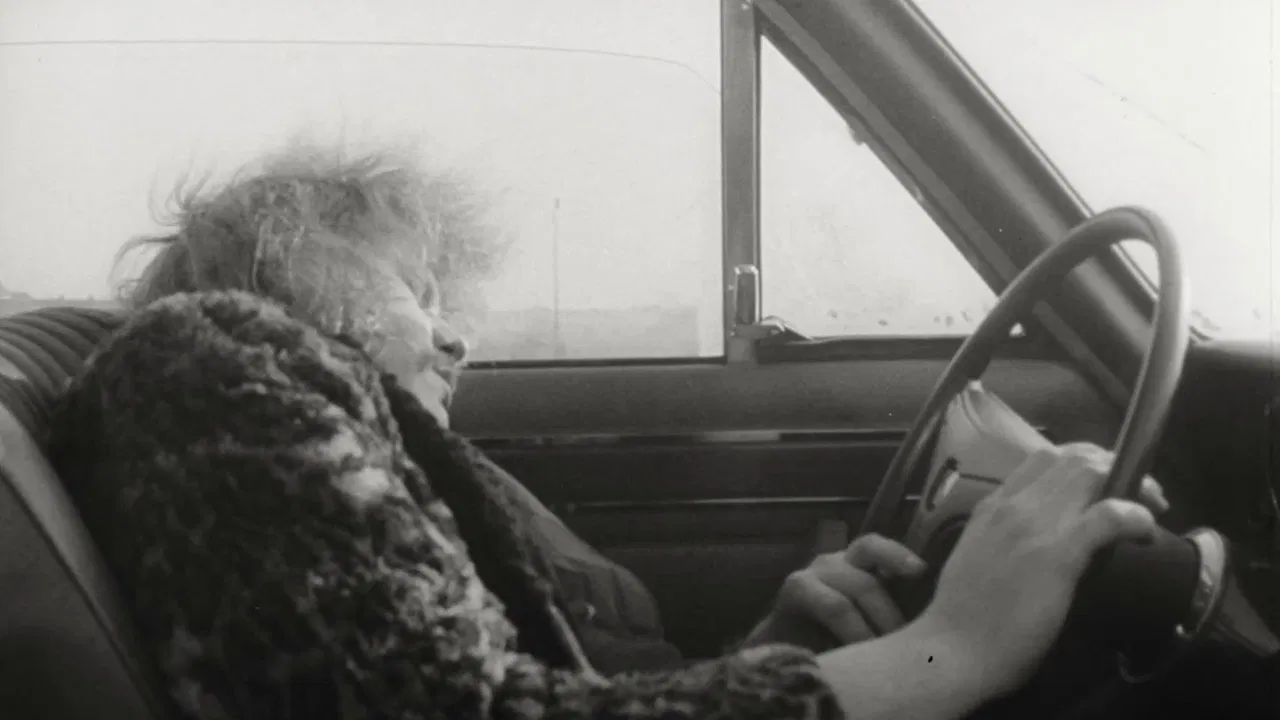 Auf Scheisser schiesst man nicht backdrop