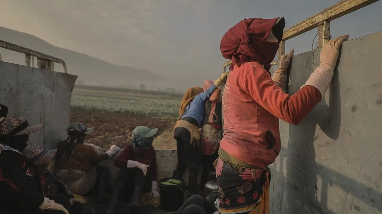 Aamelat. Jornaleres de la guerra backdrop