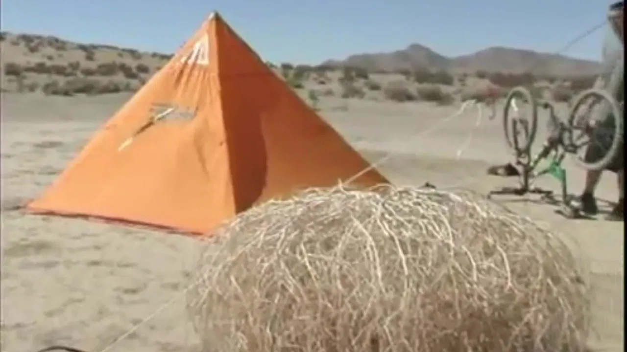 She Can't Say No backdrop