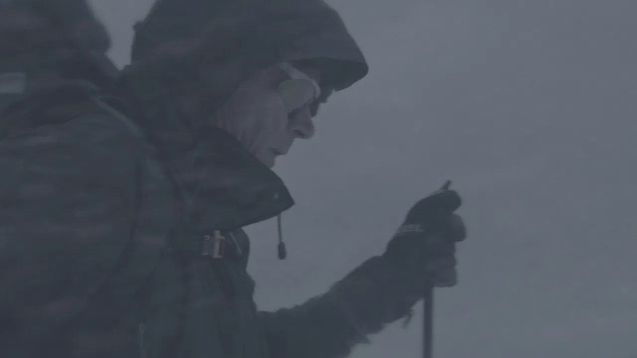 Wandering in the White backdrop