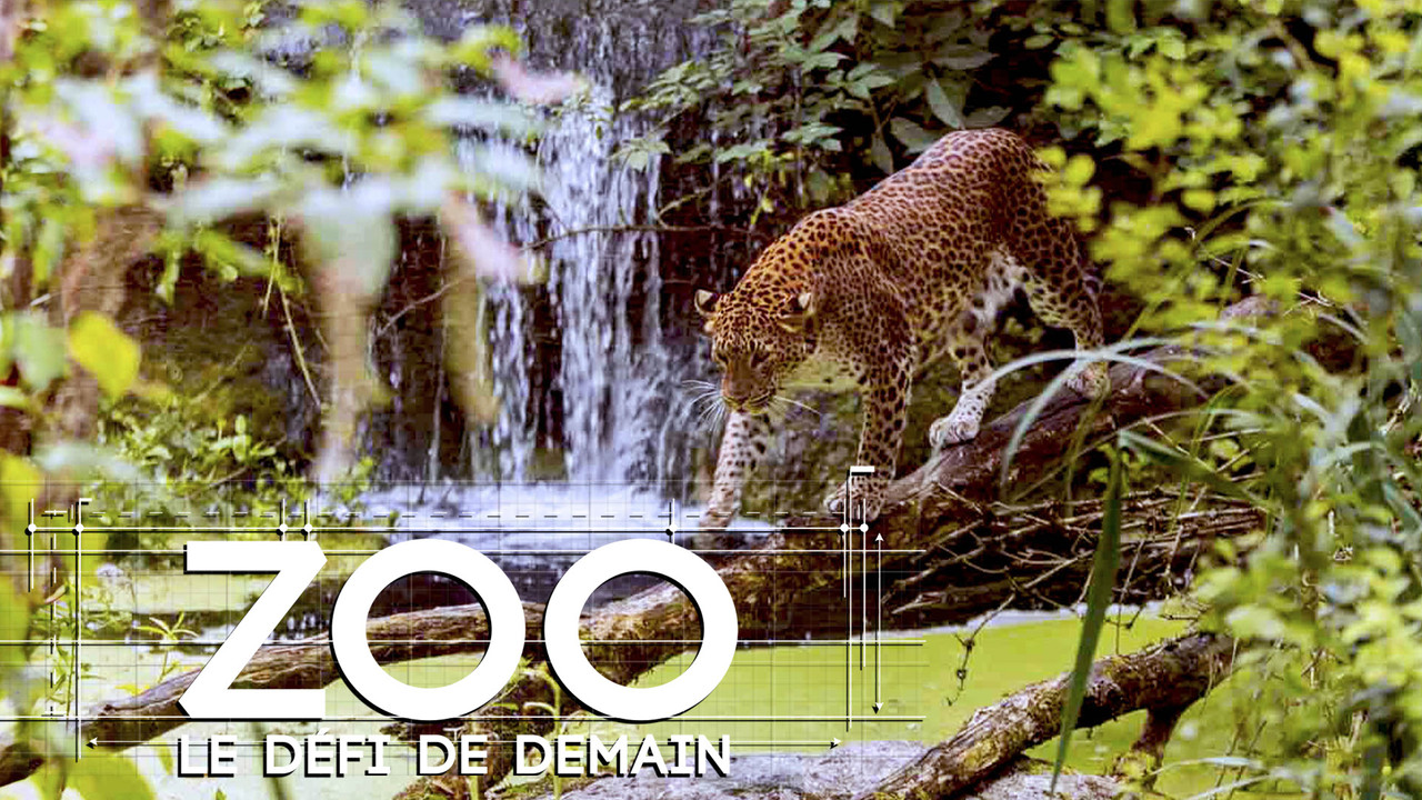 Zoo : le défi de demain backdrop