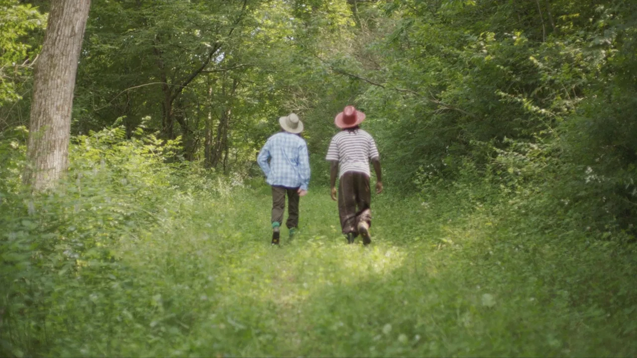 Boys at Twenty backdrop