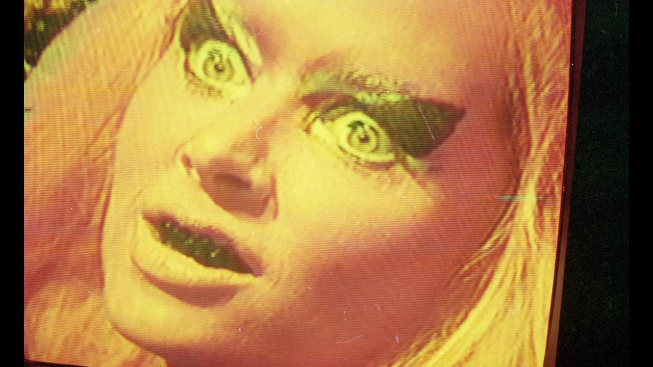 War Is Menstrual Envy backdrop