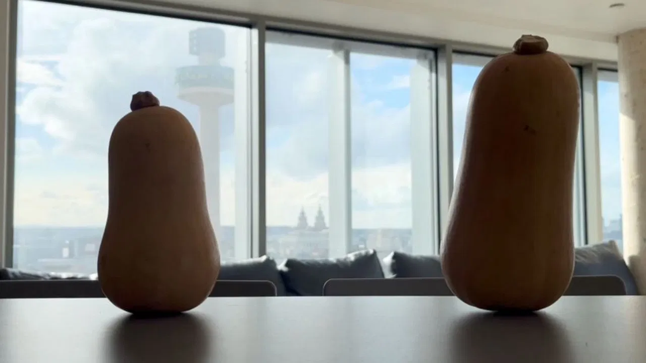 Squash Your Dreams backdrop