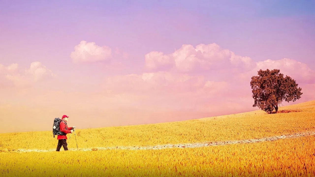 The Way, My Way backdrop