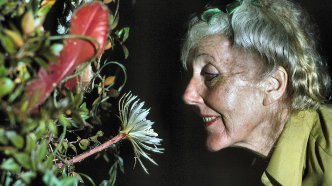 Margaret Mee and the Moonflower backdrop