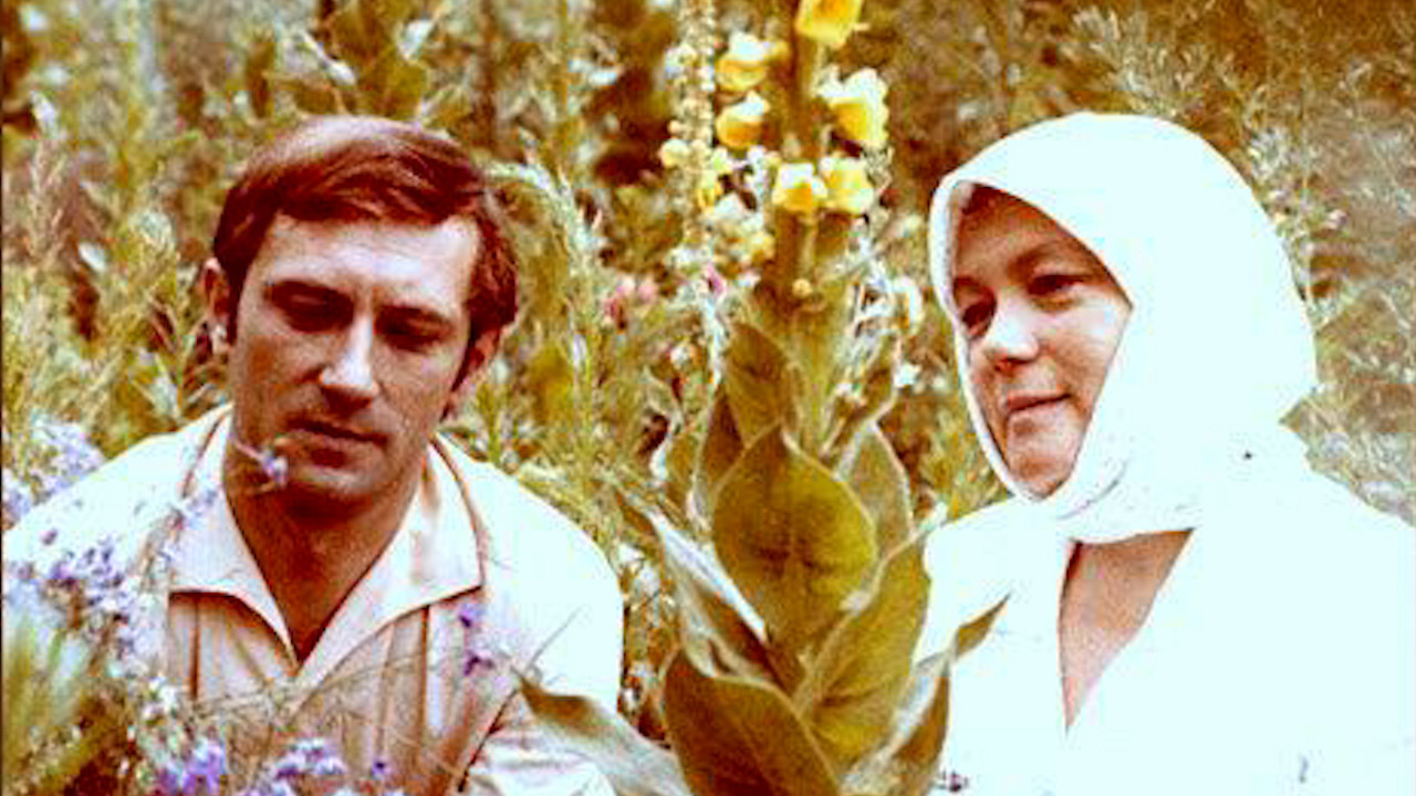 In Midsummer backdrop