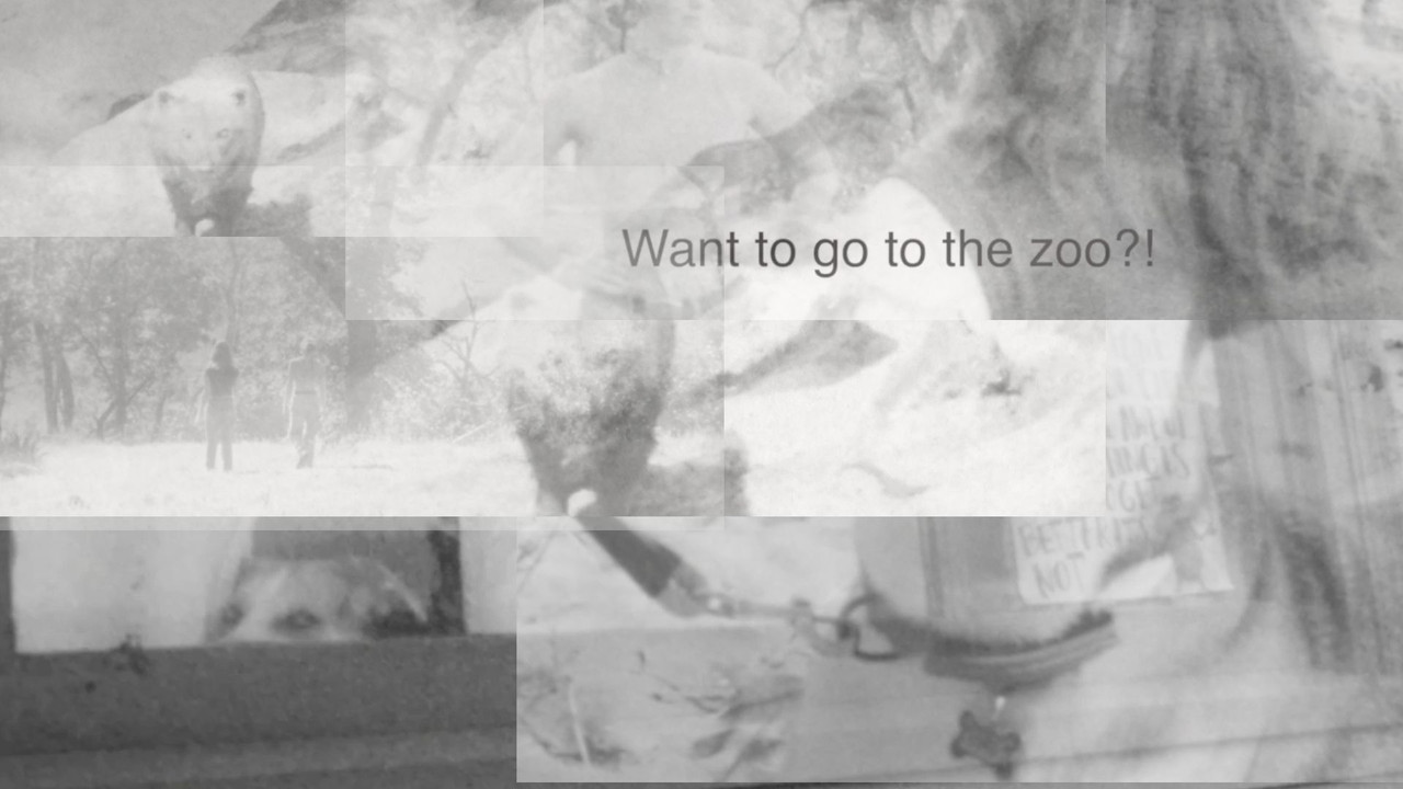 False Freedom backdrop