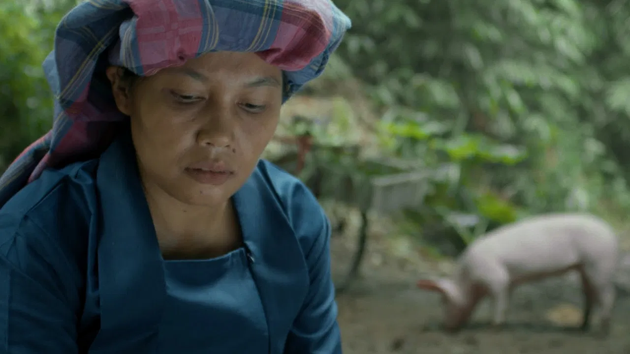 Laterpersoken backdrop