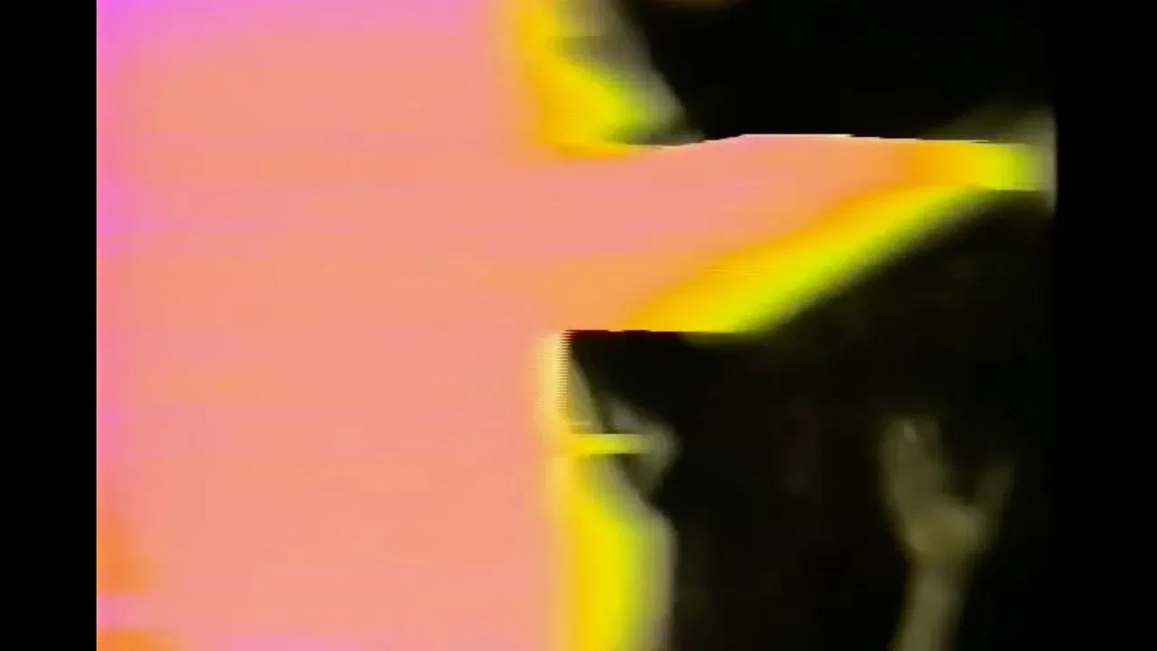 The Garden of Delights backdrop