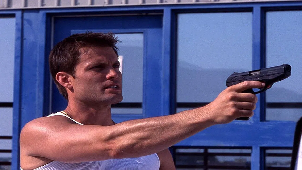 Hollywood Flies backdrop