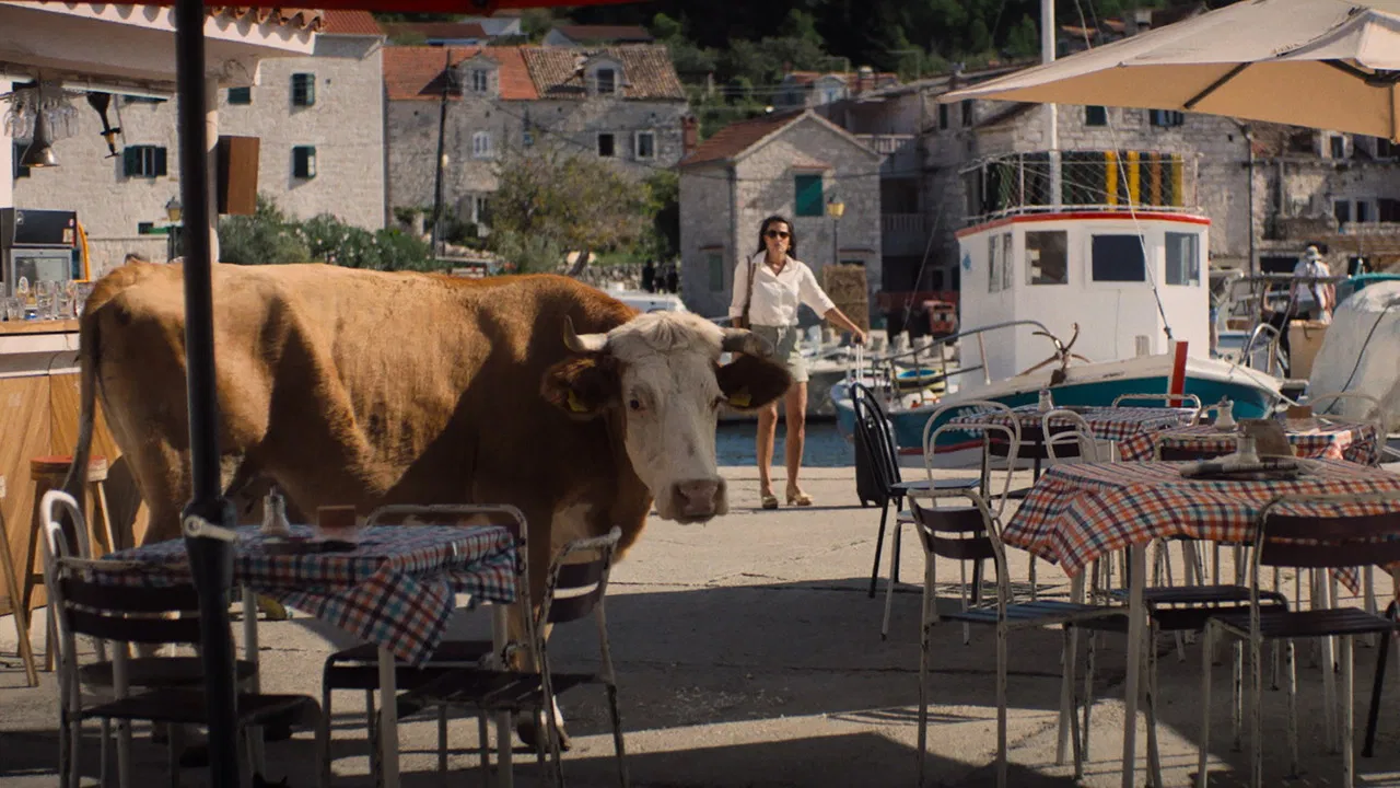 My Late Summer backdrop