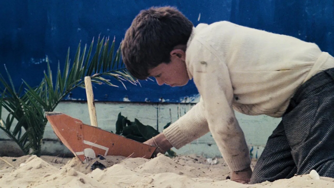 Continuar a Viver ou Os Índios da Meia-Praia backdrop