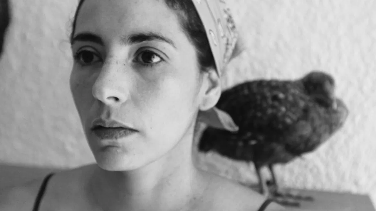 Cock’s Quickie backdrop