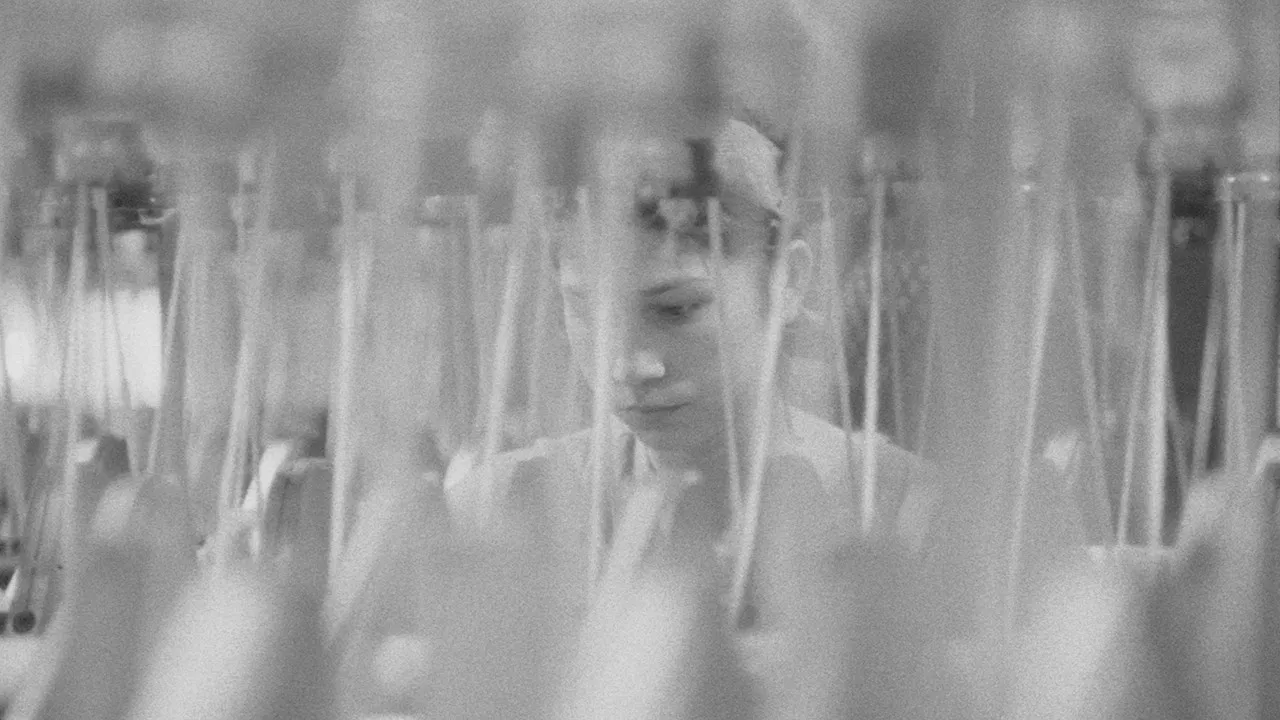 At the Lőrinc Spinnery backdrop