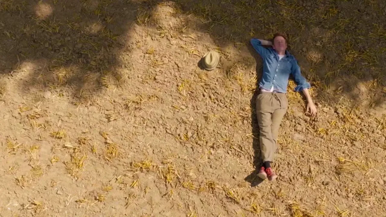 Chêne de vie : l'amour aux temps du cancer backdrop