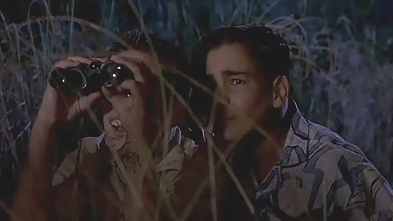 Just Looking backdrop