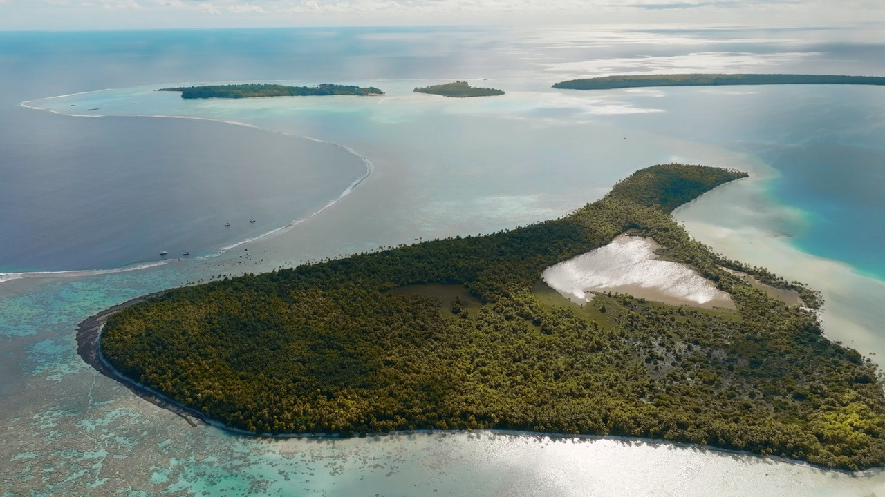 Marlon Brando in Paradise backdrop