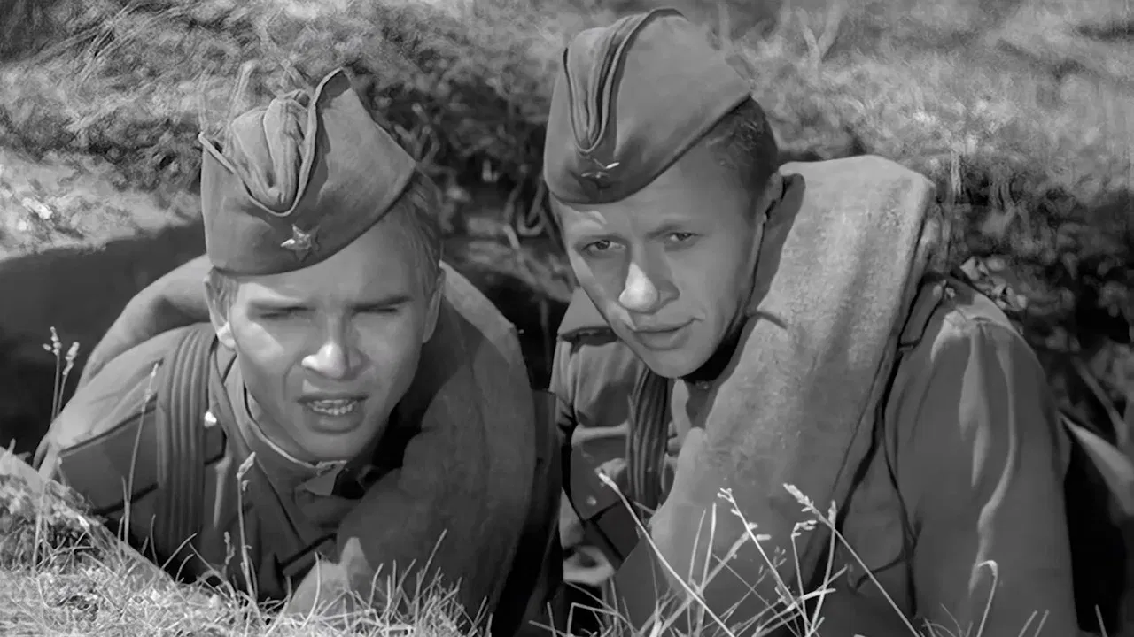 Maksim Perepelitsa backdrop