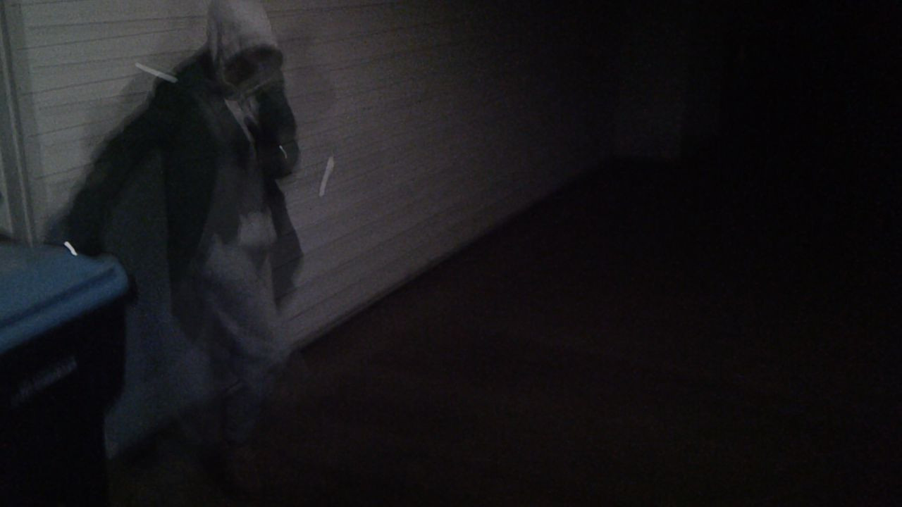 fish dealer backdrop