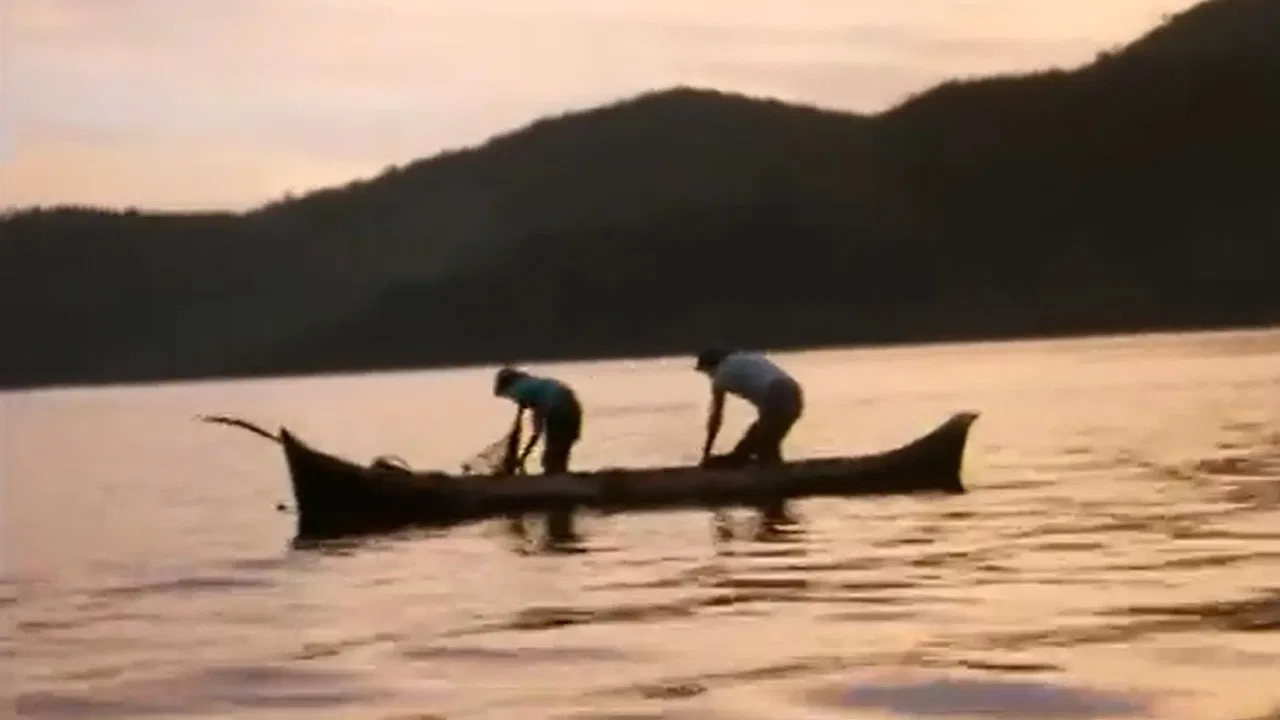 Paraty - Impressões backdrop