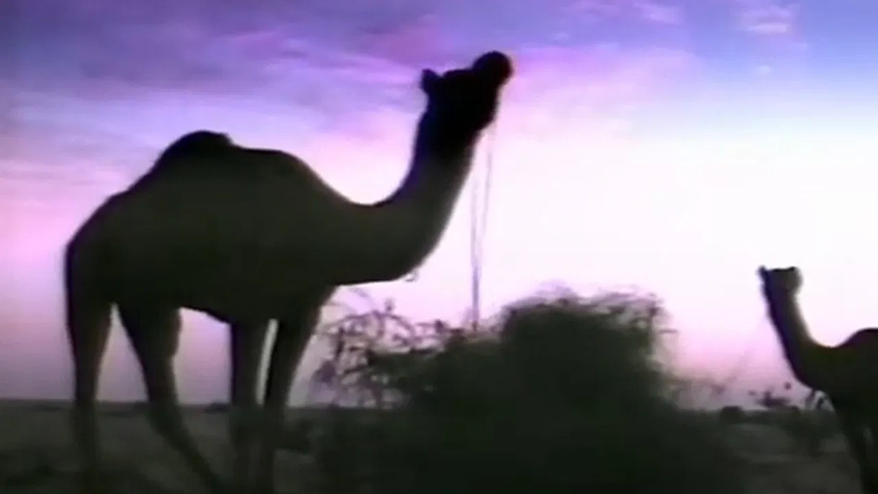 L'ozone n'a qu'une bosse backdrop