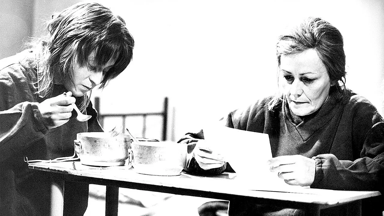 Zatmění všech sluncí backdrop