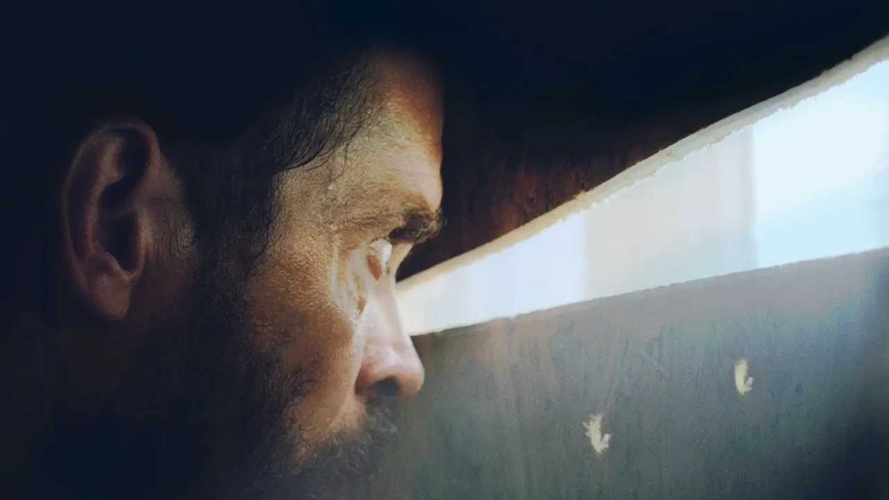 Siege on Liperti Street backdrop