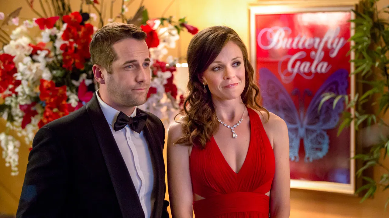 Stop the Wedding backdrop