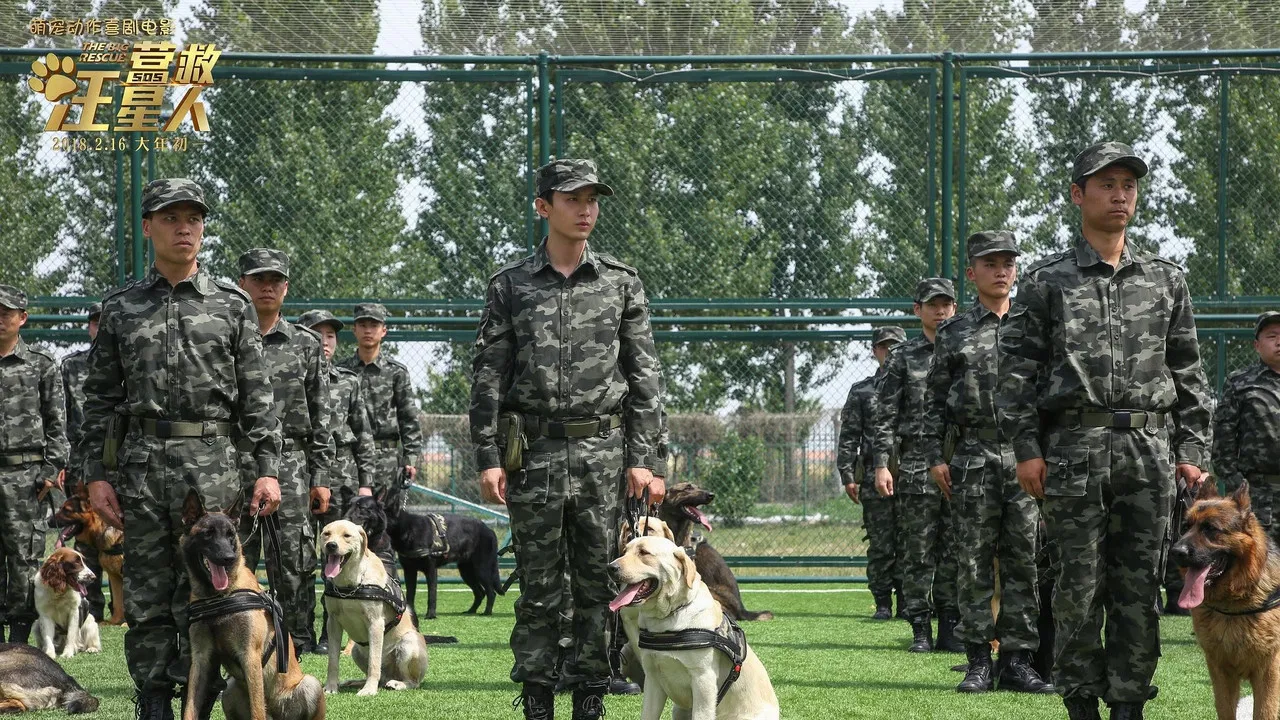 The Big Rescue backdrop