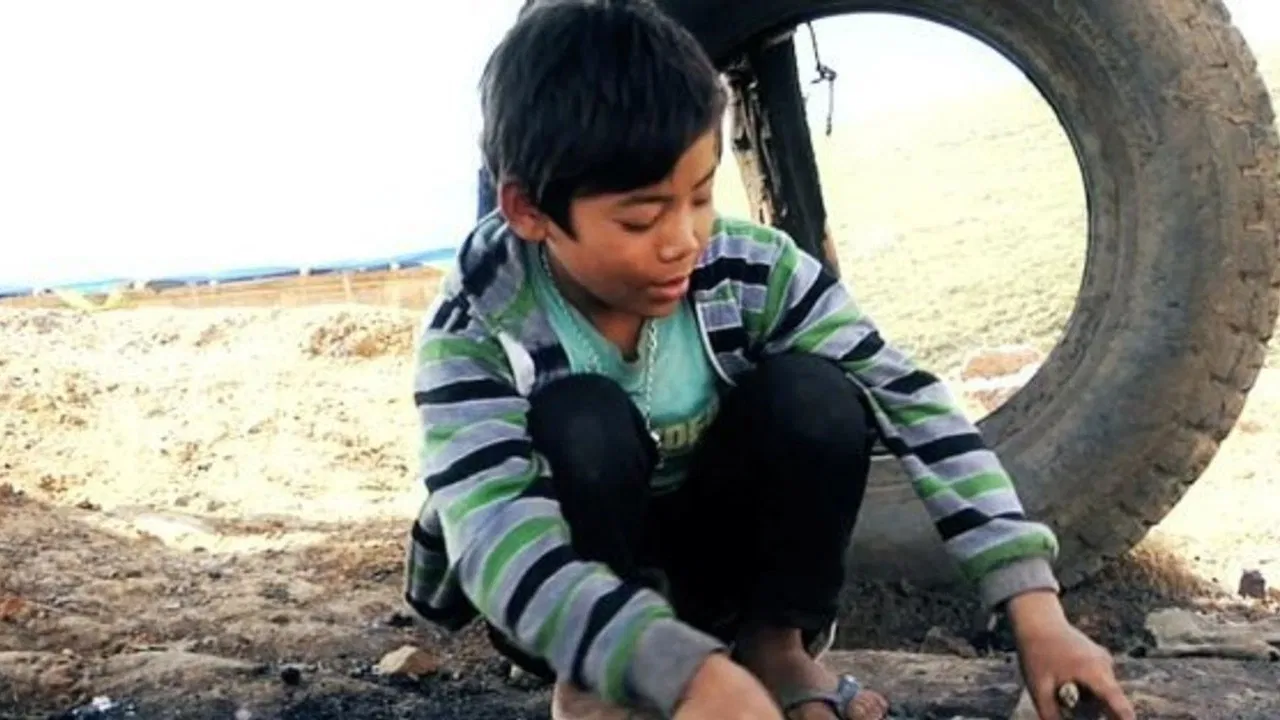 Fireflies in the Abyss backdrop