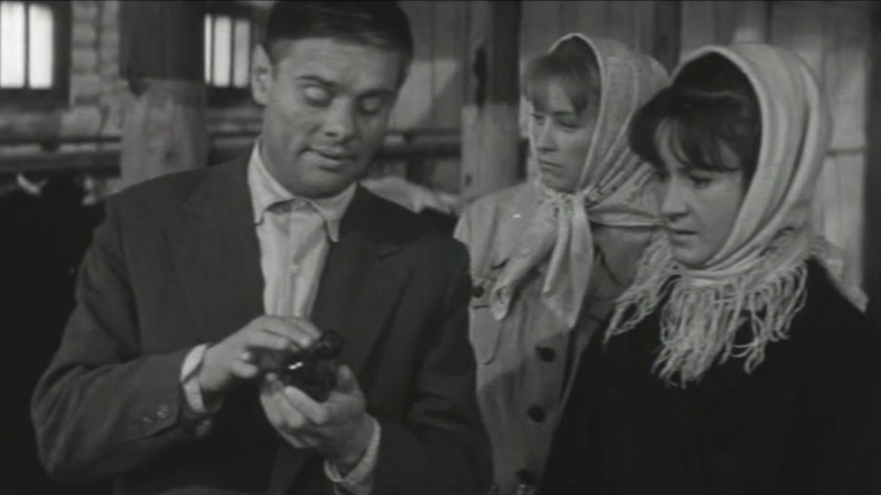 Встречи на рассвете backdrop