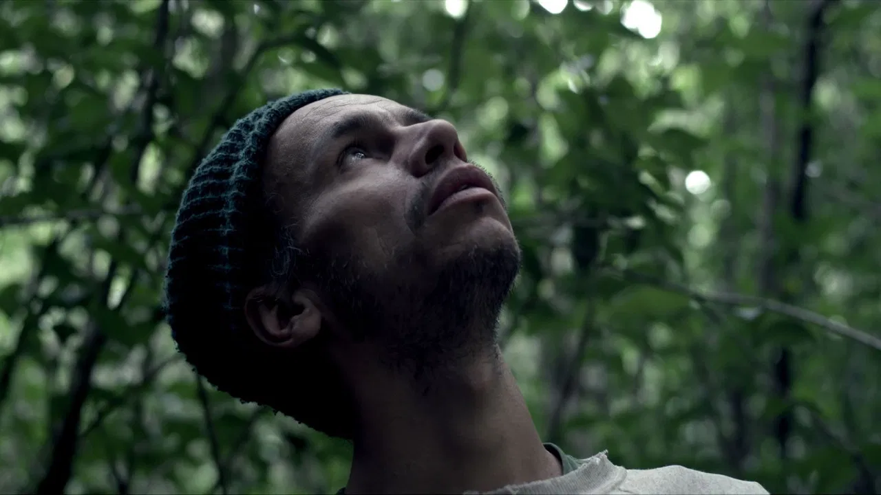 Let the Lights Move Away backdrop