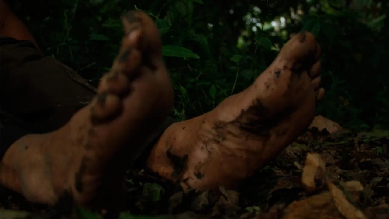 Water Steps backdrop