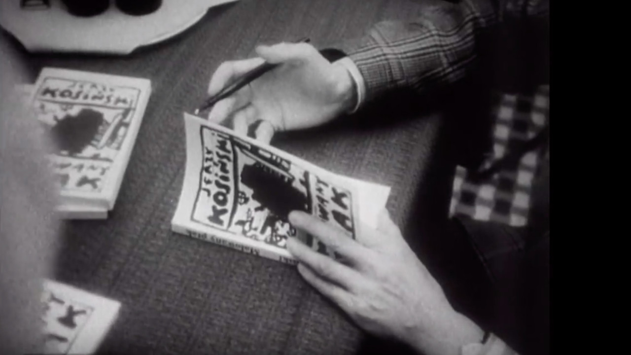 The Painted Boy backdrop