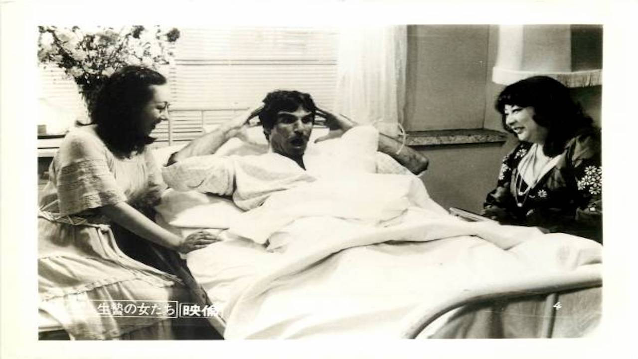 Harry and His Geisha Girls backdrop