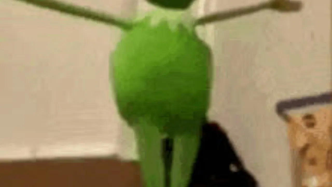 If I am silence ~ {Kermit backdrop