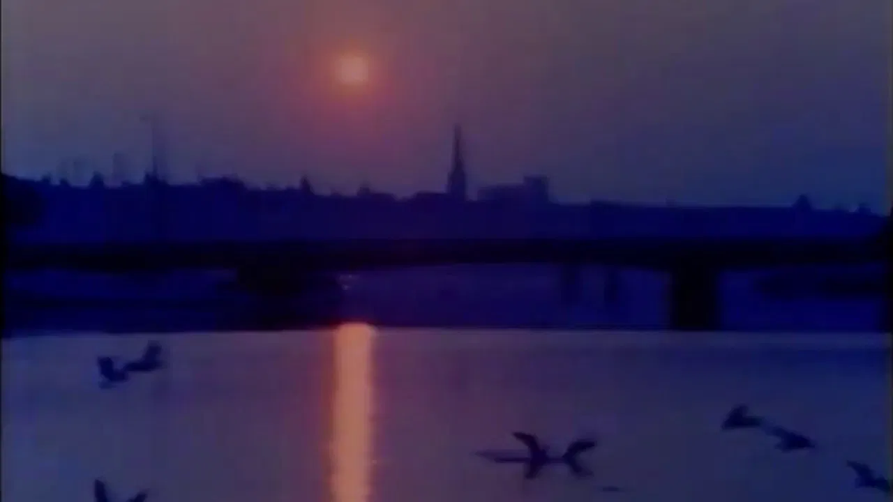 Portrait: A Film of Stockholm backdrop