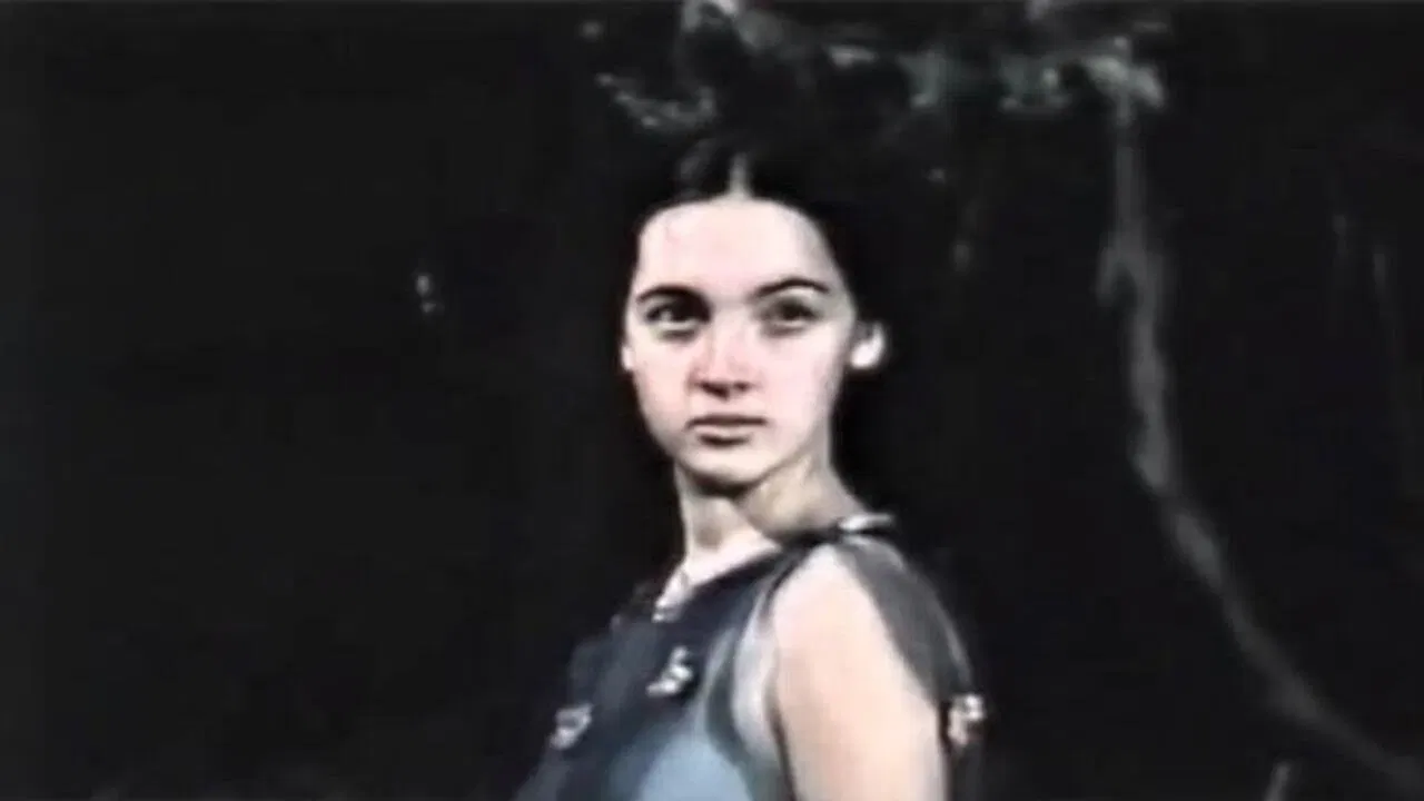 Magic Night backdrop