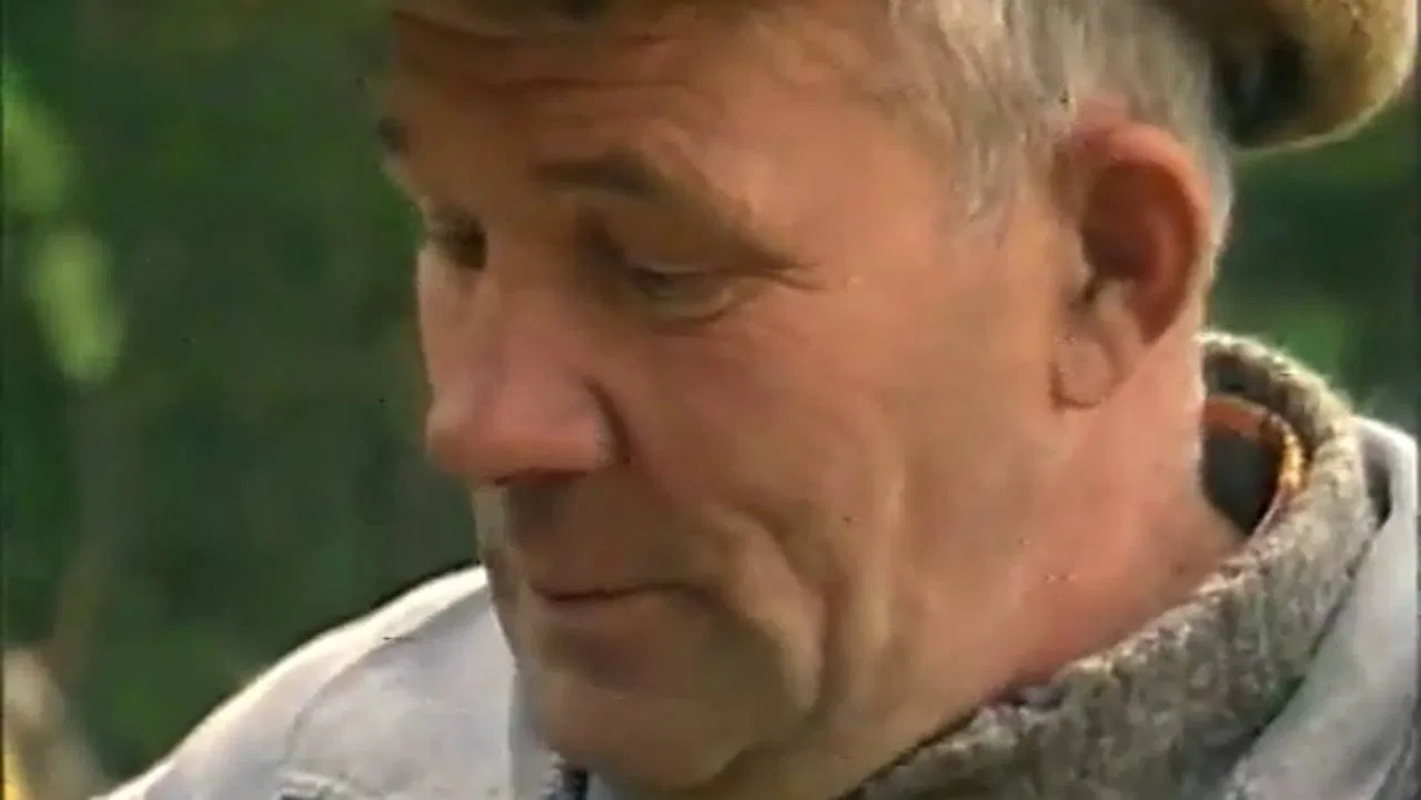 The Arkhangelsk Peasant backdrop